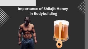 Importance of Shilajit Honey in Bodybuilding