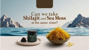 Can we take Shilajit and sea moss at the same time