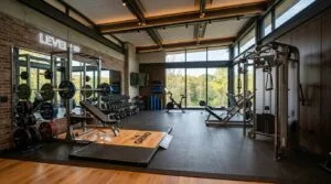 GYM GOODIES 35 Free Weights vs. Machines for Home Gyms Pros, Cons, and Hybrid Approach